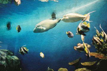 b0054956_21472915.jpg
