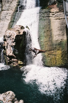 b0054956_21483173.jpg