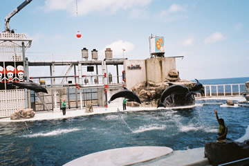 b0054956_21484123.jpg
