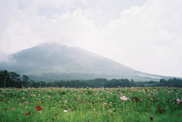 b0054956_21495560.jpg