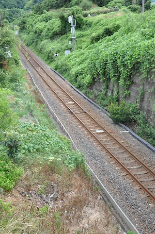 d0128759_22165829.jpg