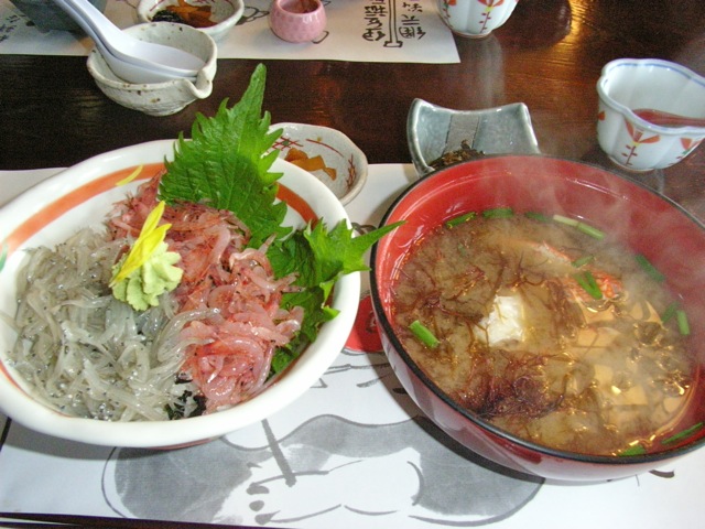 ジャスト伊豆_b0193762_15402359.jpg