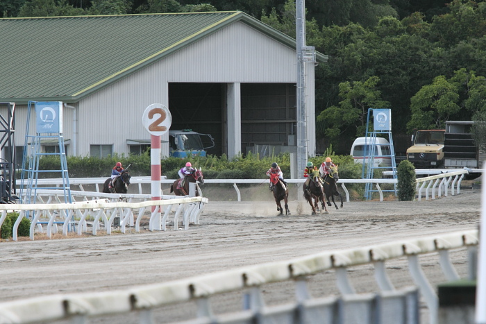 2010年8月27日（金） 高知競馬 3R C2-3_a0077663_19582968.jpg