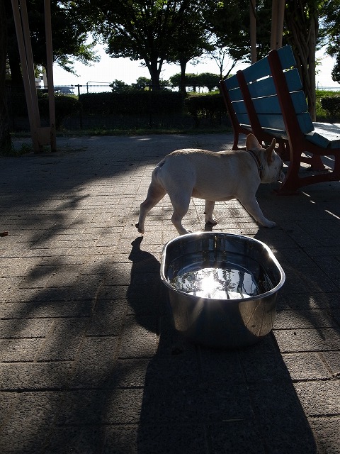 c0081363_23334526.jpg