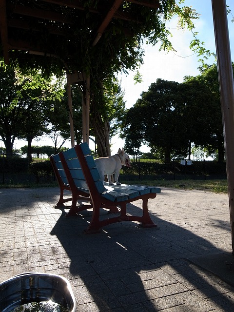 c0081363_23335133.jpg