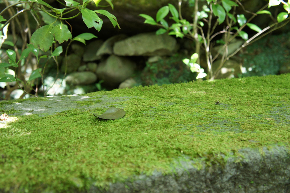大分ドライヴ_b0083267_21563152.jpg