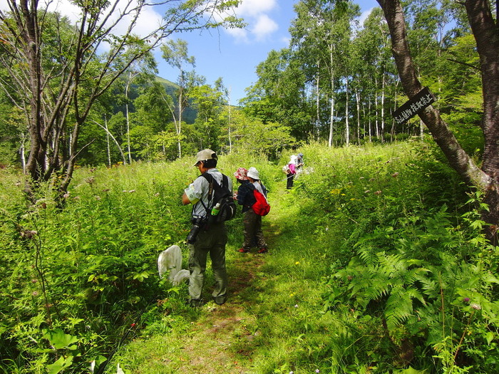 アサギマダラ　移動追跡のマーキング会　　2010.8.21群馬県_a0146869_35537.jpg