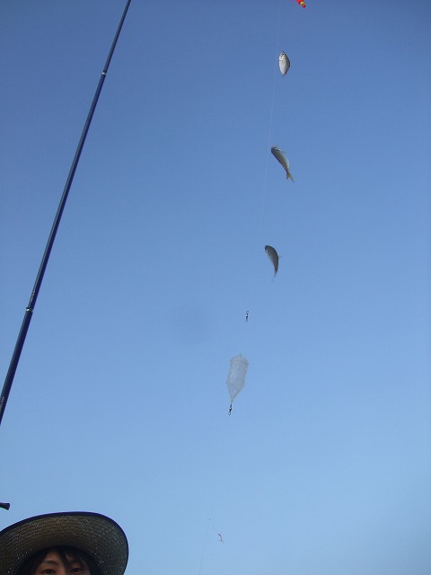 c0014470_11453775.jpg