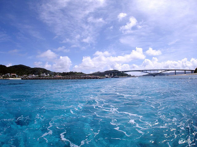 せっかく天気も海況も良くなってきたのに。。。_b0137472_2254967.jpg