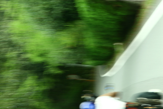 b0120981_2011251.jpg