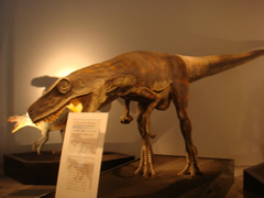 六本木ヒルズを探検。_d0132289_0433090.jpg