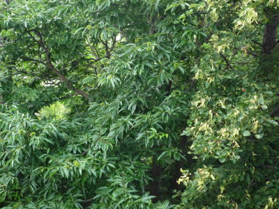 a0127398_21113.jpg