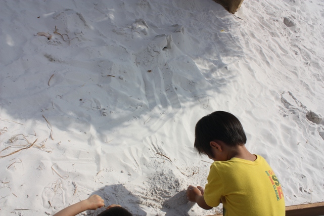 f0218002_2015266.jpg