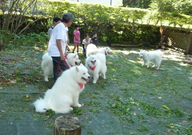 山中湖　Ⅱ　のんのっ子祭り　　８月２８日　[土]_e0018604_858142.jpg