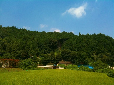 越生合宿 1日目_a0036808_18435719.jpg