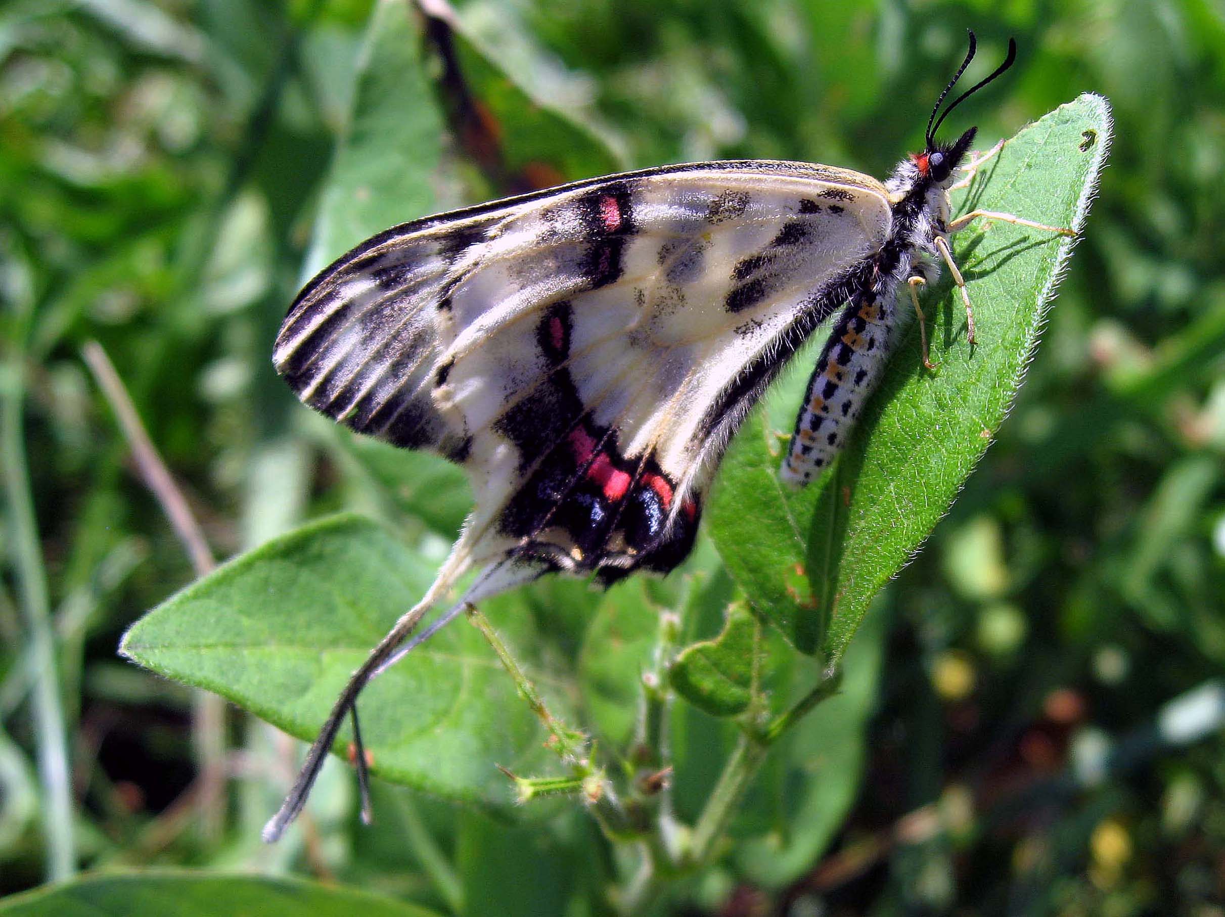 d0156718_5161136.jpg