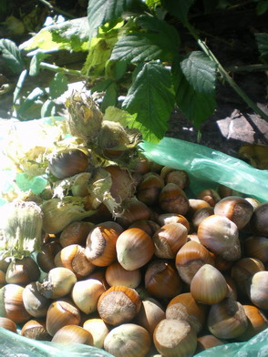 c0124619_62184.jpg