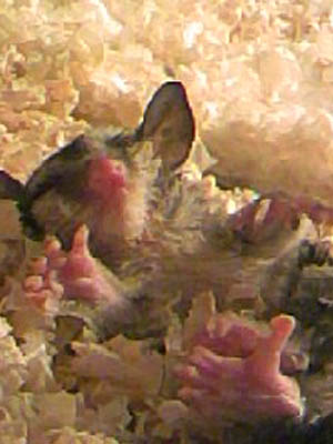 e0148120_03973.jpg