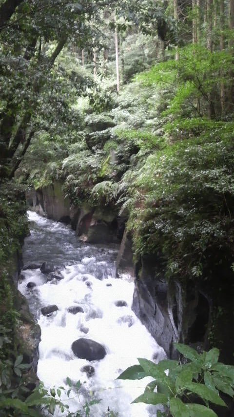 f0107724_17203363.jpg