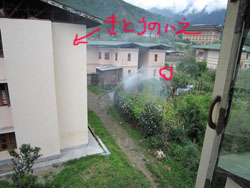 d0179225_37299.jpg