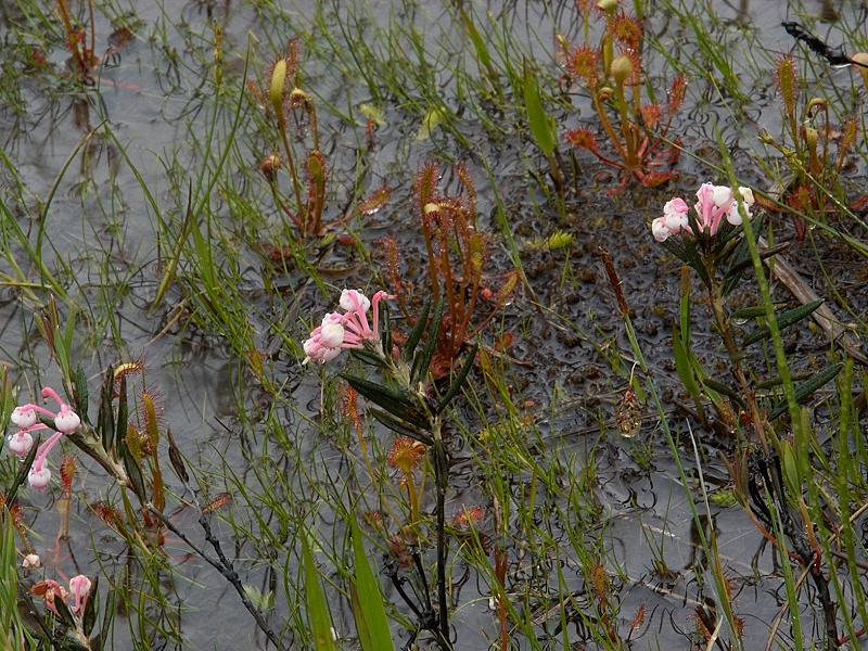 c0006928_10492655.jpg