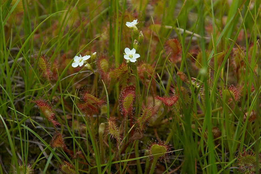 c0006928_12331990.jpg