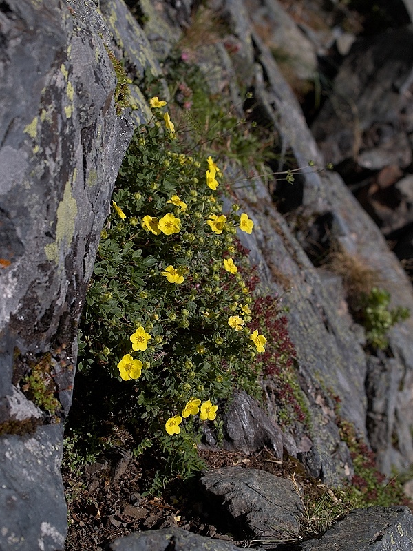 c0006928_9145847.jpg