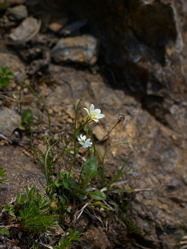 c0006928_9413862.jpg