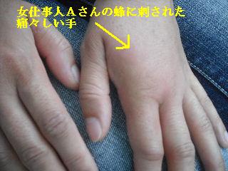 大丈夫かぁ!と・・・鍵と認定証書作り_f0031037_22172953.jpg