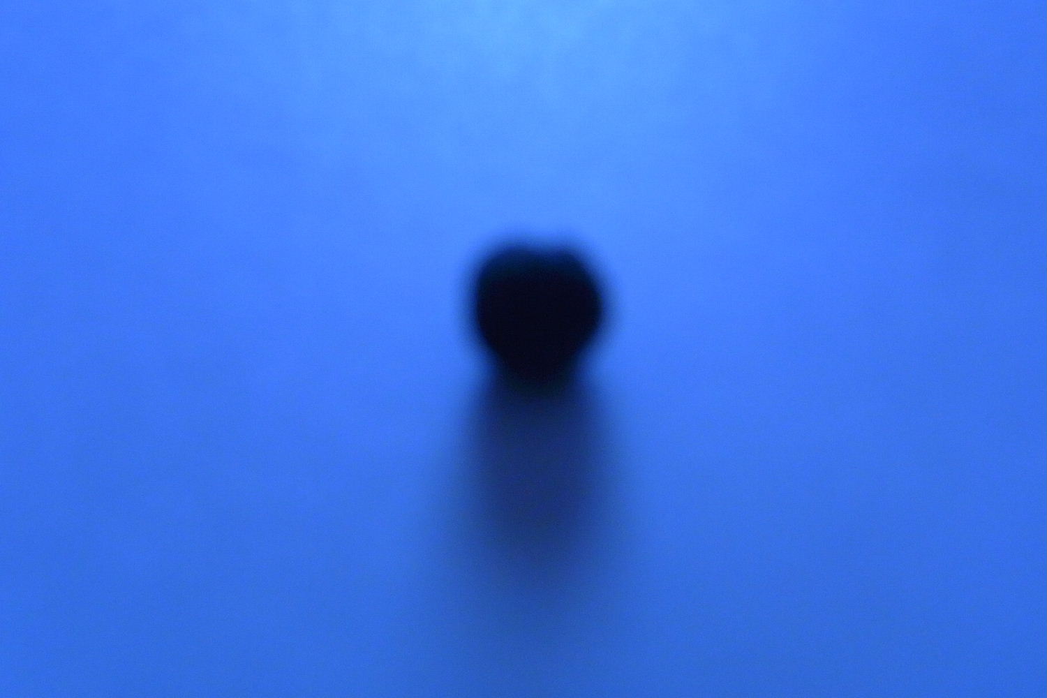 f0082141_1054303.jpg
