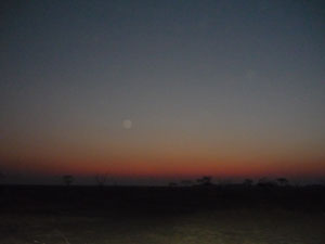 c0192346_17541820.jpg
