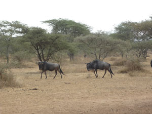 c0192346_18302718.jpg