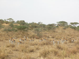 c0192346_18305010.jpg
