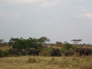 c0192346_18312137.jpg