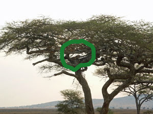 c0192346_18323936.jpg