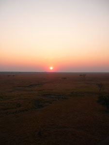 c0192346_184549.jpg