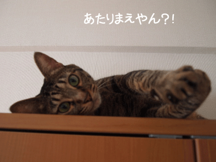 f0116546_23171285.gif