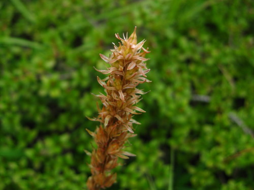 c0179351_1739157.jpg
