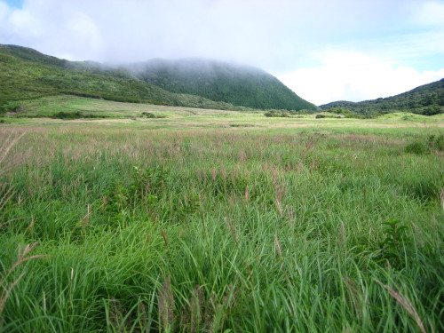 c0179351_17402350.jpg