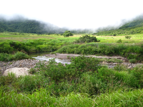 c0179351_17441285.jpg