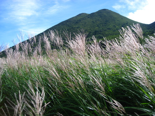 c0179351_17451489.jpg