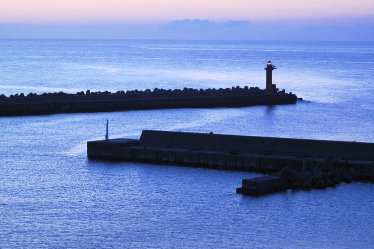 2010北海道紀行・礼文島 朝の海_c0181552_1854555.jpg