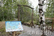 f0019856_16181112.gif