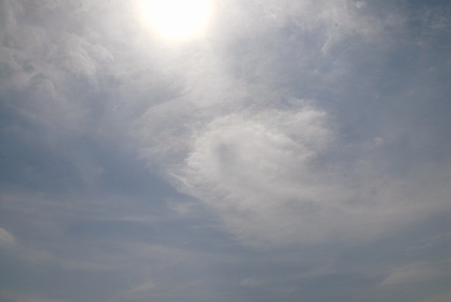 b0181457_12513752.jpg