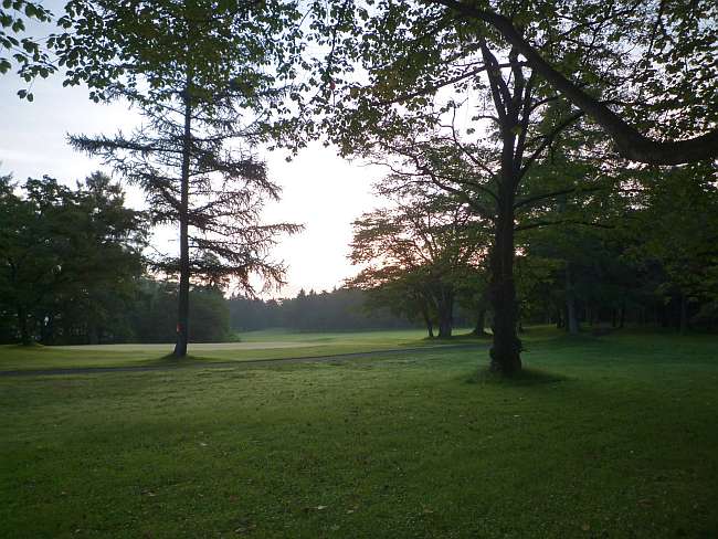 c0109957_23144747.jpg