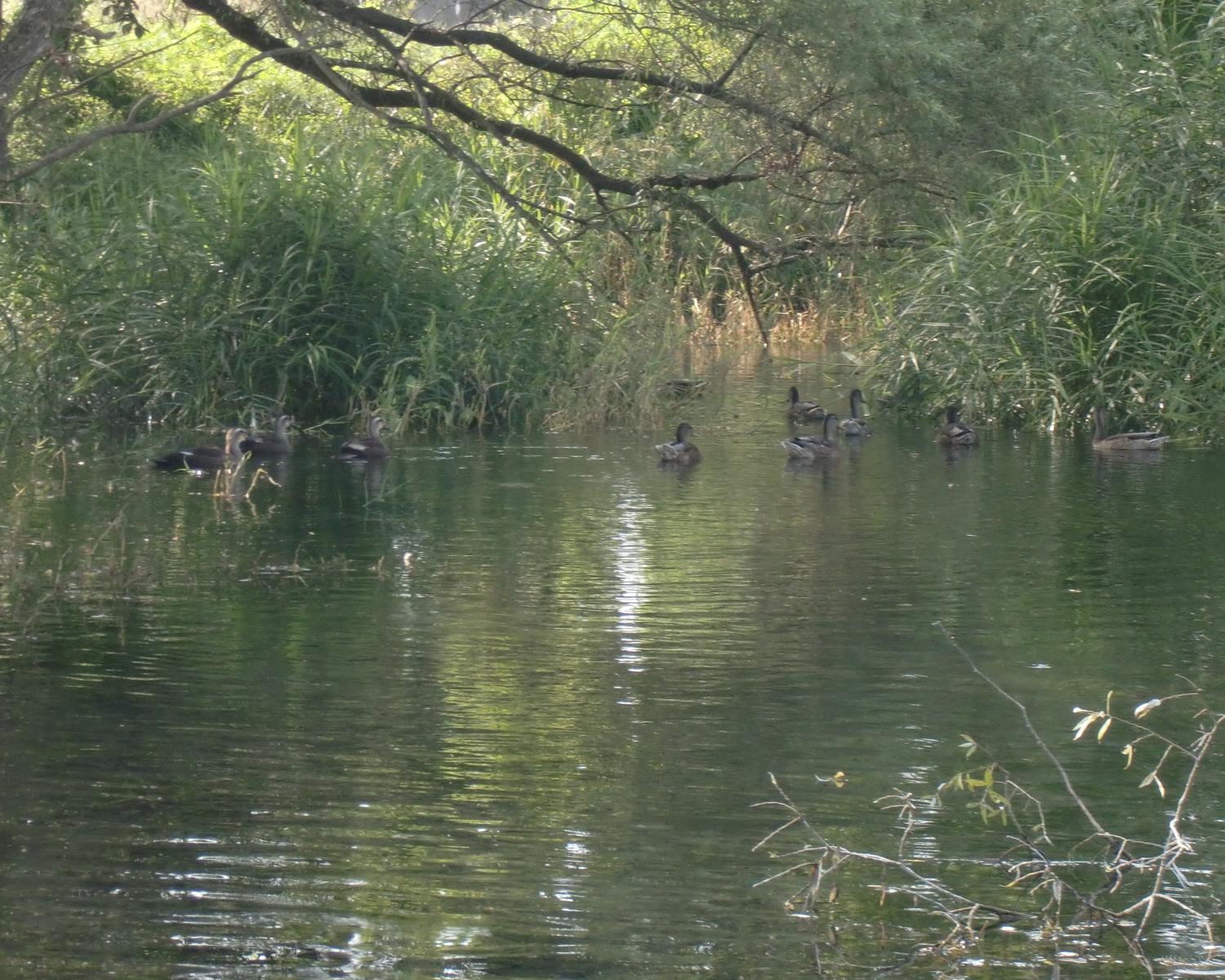 c0140260_23405.jpg