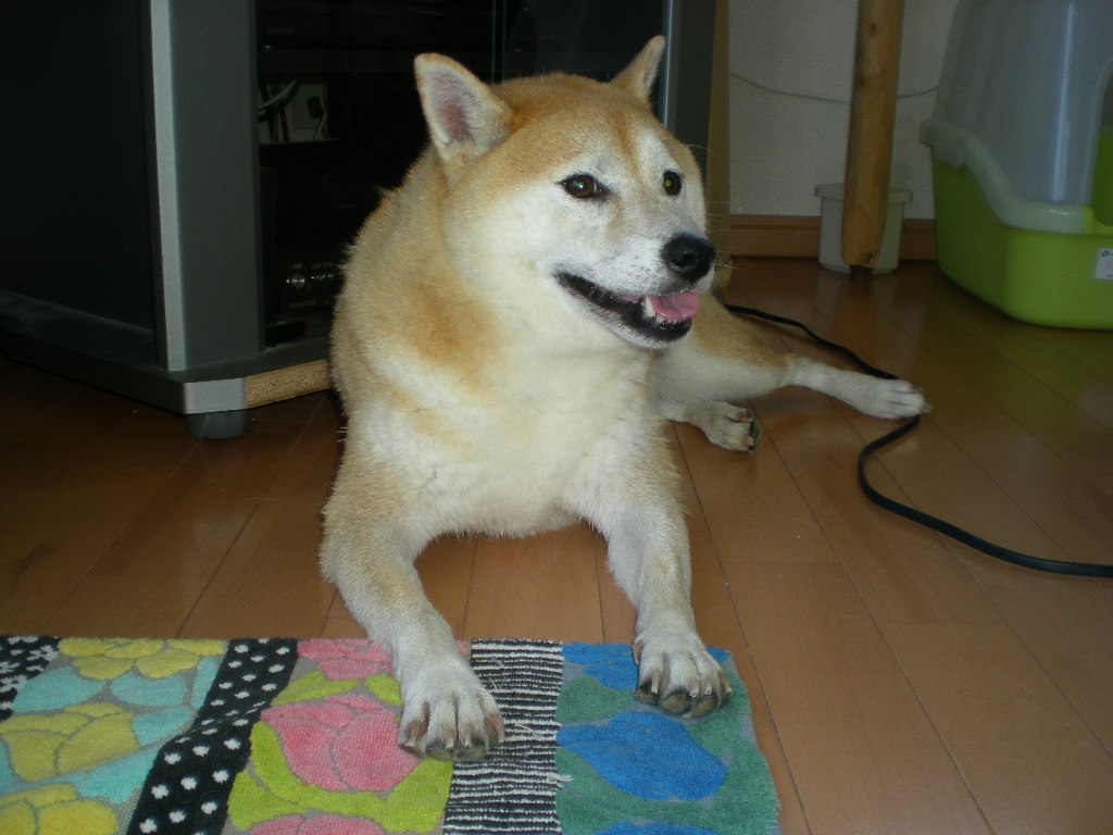 2010年8月30日(月)暑いけど快適!_f0060461_10335276.jpg
