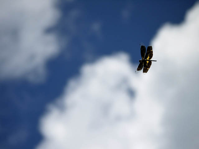 f0199866_2045465.jpg