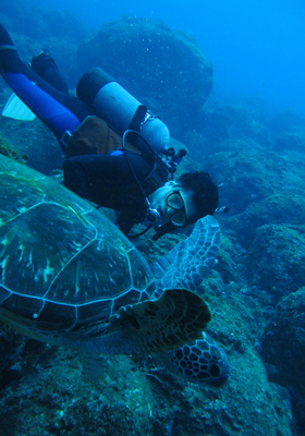 八丈島ひとり旅_c0184968_2056417.jpg