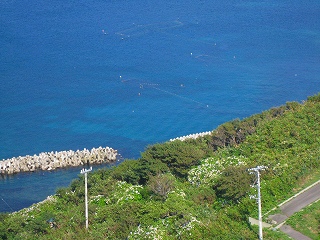 e0160568_143957100.jpg